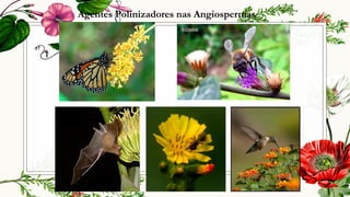 Agentes Polinizadores nas Angiospermas
 