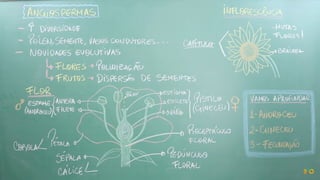 Aula de Botânica - Conceitos Básicos Ens. Médio
