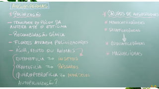 Aula de Botânica - Conceitos Básicos Ens. Médio