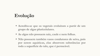 Evolução
◉ Acredita-se que os vegetais evoluíram a partir de um
grupo de algas pluricelulares.
◉ As algas não possuem raiz, caule e nem folhas.
◉ Não possuem também vasos condutores de seiva, pois
por serem aquáticas, elas absorvem substâncias por
toda a superfície do talo, que é permeável.
 