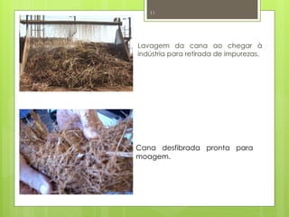 11
Lavagem da cana ao chegar à
indústria para retirada de impurezas.
Cana desfibrada pronta para
moagem.
 