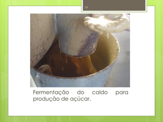13
Fermentação do caldo para
produção de açúcar.
 