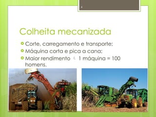 4
Colheita mecanizada
 Corte, carregamento e transporte;
 Máquina corta e pica a cana;
 Maior rendimento  1 máquina = 100
homens.
 