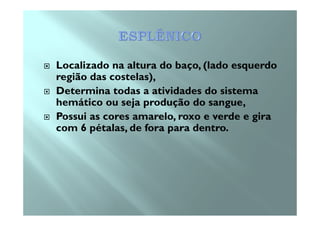 Localizado na altura do baço, (lado esquerdo
região das costelas),
Determina todas a atividades do sistema
hemático ou seja produção do sangue,
Possui as cores amarelo, roxo e verde e giraPossui as cores amarelo, roxo e verde e gira
com 6 pétalas, de fora para dentro.
 