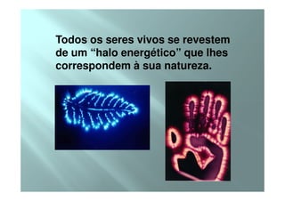 Todos os seres vivos se revestem
de um “halo energético” que lhes
correspondem à sua natureza.
 