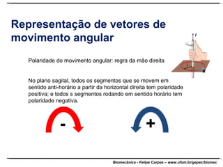Representação de vetores de movimento angular Polaridade do movimento angular: regra da mão direita No plano sagital, todos os segmentos que se movem em sentido anti-horário a partir da horizontal direita tem polaridade positiva; e todos s segmentos rodando em sentido horário tem polaridade negativa. + - 