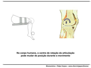 No corpo humano, o centro de rotação da articulação pode mudar de posição durante o movimento 