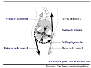 Parede abdominal Inclinação anterior Inclinação posterior Flexores do quadril Extensores do quadril Músculos da lombar Muscoline & Cipriani,  J BodWk Mov Ther , 2004 