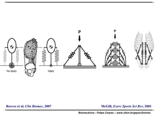 McGill,  Exerc Sports Sci Rev , 2001 Reeves et al,  Clin Biomec , 2007 
