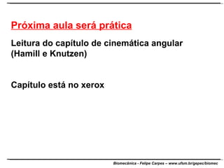 Próxima aula será prática Leitura do capítulo de cinemática angular (Hamill e Knutzen) Capítulo está no xerox 