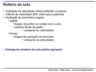 Roteiro da aula Avaliação da velocidade média preferida na esteira Cálculo da velocidade 20% maior que a preferida Avaliação da cinemática angular sagital ângulo do joelho no contato com o solo máxima flexão do joelho comparar as velocidades frontal ângulo de pronação do tornozelo comparar as velocidades Entrega de relatório da aula prática (grupos) 