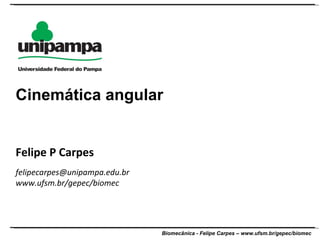 Felipe P Carpes [email_address] www.ufsm.br/gepec/biomec  Cinemática angular 
