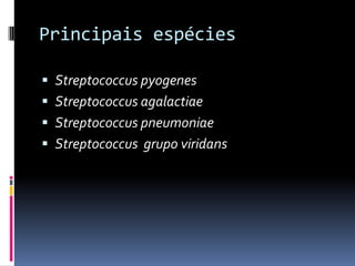 Principais espéciesStreptococcuspyogenesStreptococcusagalactiaeStreptococcuspneumoniaeStreptococcus  grupo viridans