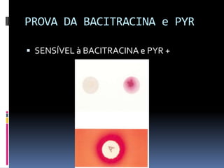 PROVA DA BACITRACINA e PYRSENSÍVEL à BACITRACINA e PYR +