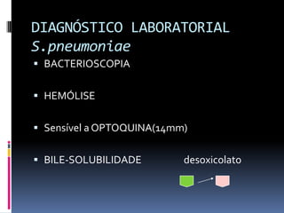 DIAGNÓSTICO LABORATORIAL S.pneumoniaeBACTERIOSCOPIAHEMÓLISESensível a OPTOQUINA(14mm)BILE-SOLUBILIDADE                   desoxicolato