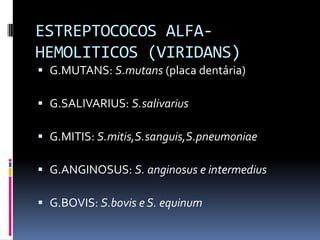 ESTREPTOCOCOS ALFA-HEMOLITICOS (VIRIDANS)G.MUTANS: S.mutans (placa dentária)G.SALIVARIUS: S.salivariusG.MITIS: S.mitis,S.sanguis,S.pneumoniaeG.ANGINOSUS: S. anginosus e intermediusG.BOVIS: S.bovis e S. equinum