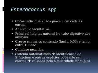Enterococcus sppCocos individuais, aos pares e em cadeias curtas. Anaeróbio facultativo. Principal habitat natural é o tubo digestivo dos animais.Cresce em meios contendo Nacl a 6,5% e temp entre 10 -45º.Catalase negatica.Sistema automatizado  identificação de E.faecium e outras espécies pode não ser correta  causada pela similaridade fenotípica.