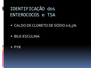 IDENTIFICAÇÃO dos ENTEROCOCOS e TSACALDO DE CLORETO DE SÓDIO à 6,5%BILE-ESCULINAPYR