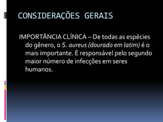 CONSIDERAÇÕES GERAISIMPORTÂNCIA CLÍNICA – De todas as espécies do gênero, o S. aureus (dourado em latim) é o mais importante. É responsável pelo segundo maior número de infecções em seres humanos. 