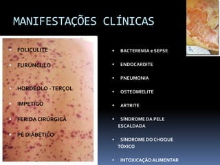 MANIFESTAÇÕES CLÍNICASFOLICULITEFURÚNCULOHORDÉOLO - TERÇOLIMPETIGOFERIDA CIRÚRGICAPÉ DIABÉTICOBACTEREMIA e SEPSEENDOCARDITEPNEUMONIAOSTEOMIELITEARTRITESÍNDROME DA PELE       ESCALDADASÍNDROME DO CHOQUE      TÓXICOINTOXICAÇÃO ALIMENTAR 
