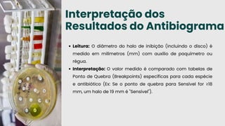 Aula 5 - Coloração, Provas Bioquimicas e Antibiograma.pdf