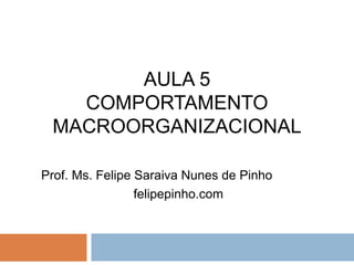 AULA 5
   COMPORTAMENTO
 MACROORGANIZACIONAL

Prof. Ms. Felipe Saraiva Nunes de Pinho
                 felipepinho.com
 