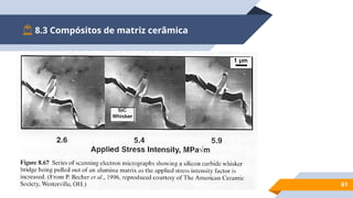 8.3 Compósitos de matriz cerâmica
61
 