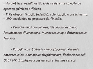 • No biofilme: os MO estão mais resistentes à ação de
agentes químicos e físicos.
• Três etapas: fixação (adesão), colonização e crescimento.
• MO envolvidos no processo de fixação:
- Pseudomonas aeruginosa, Pseudomonas fragi,
Pseudomonas fluorescens, Micrococcus sp e Enterococcus
faecium.
- Patogênicos: Listeria monocytogenes, Yersinia
enterocolitica, Salmonella thyphimurium, Escherichia coli
O157:H7, Staphylococcus aureus e Bacillus cereus
 