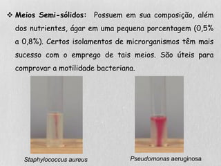  Meios Semi-sólidos: Possuem em sua composição, além
dos nutrientes, ágar em uma pequena porcentagem (0,5%
a 0,8%). Certos isolamentos de microrganismos têm mais
sucesso com o emprego de tais meios. São úteis para
comprovar a motilidade bacteriana.
Staphylococcus aureus Pseudomonas aeruginosa
 
