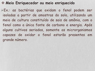  Meio Enriquecedor ou meio enriquecido
Ex.: as bactérias que oxidam o fenol podem ser
isoladas a partir de amostras do solo, utilizando um
meio de cultura constituído de sais de amônia, com o
fenol como a única fonte de carbono e energia. Após
alguns cultivos seriados, somente os microrganismos
capazes de oxidar o fenol estarão presentes em
grande número.
 