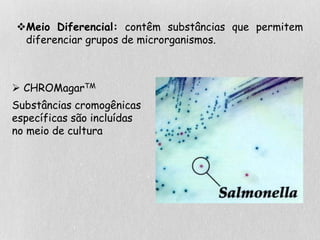 Meio Diferencial: contêm substâncias que permitem
diferenciar grupos de microrganismos.
 CHROMagarTM
Substâncias cromogênicas
específicas são incluídas
no meio de cultura
 