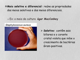 Meio seletivo e diferencial: reúne as propriedades
dos meios seletivos e dos meios diferenciais.
 Seletivo: contêm sais
biliares e o corante
cristal violeta que inibe o
crescimento de bactérias
Gram-positivas.
Staphylococcus aureus
 Ex: o meio de cultura ágar MacConkey
 
