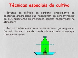 Técnicas especiais de cultivo
• Estufas de dióxido de carbono: crescimento de
bactérias anaeróbicas que necessitam de concentrações
de CO2 superiores ou inferiores àquelas encontradas na
atmosfera
• Jarras contendo uma vela no seu interior: jarra grande,
fechada hermeticamente, contendo uma vela acesa que
consome o oxigênio
 