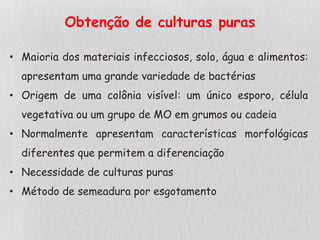 Obtenção de culturas puras
• Maioria dos materiais infecciosos, solo, água e alimentos:
apresentam uma grande variedade de bactérias
• Origem de uma colônia visível: um único esporo, célula
vegetativa ou um grupo de MO em grumos ou cadeia
• Normalmente apresentam características morfológicas
diferentes que permitem a diferenciação
• Necessidade de culturas puras
• Método de semeadura por esgotamento
 