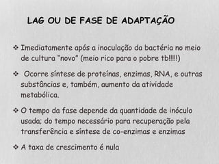  Imediatamente após a inoculação da bactéria no meio
de cultura “novo” (meio rico para o pobre tb!!!!!)
 Ocorre síntese de proteínas, enzimas, RNA, e outras
substâncias e, também, aumento da atividade
metabólica.
 O tempo da fase depende da quantidade de inóculo
usada; do tempo necessário para recuperação pela
transferência e síntese de co-enzimas e enzimas
 A taxa de crescimento é nula
LAG OU DE FASE DE ADAPTAÇÃO
 