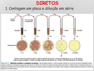 DIRETOS
1. Contagem em placa e diluição em série
 