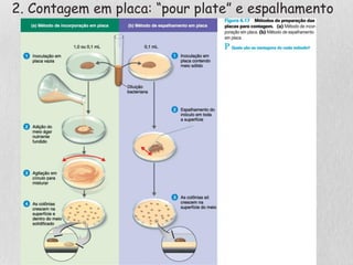 2. Contagem em placa: “pour plate” e espalhamento
 