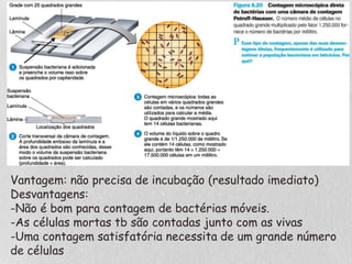 Vantagem: não precisa de incubação (resultado imediato)
Desvantagens:
-Não é bom para contagem de bactérias móveis.
-As células mortas tb são contadas junto com as vivas
-Uma contagem satisfatória necessita de um grande número
de células
 