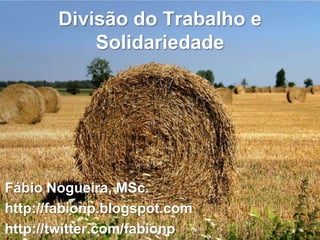 Divisão do Trabalho e
           Solidariedade




Fábio Nogueira, MSc.
http://fabionp.blogspot.com
http://twitter.com/fabionp
 