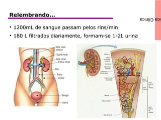 icaClínicaRelembrando...

1200mL de sangue passam pelos rins/min

180 L filtrados diariamente, formam-se 1-2L urina
 