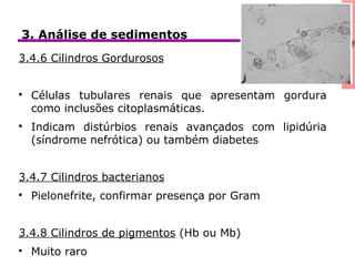 icaClínica3. Análise de sedimentos
3.4.6 Cilindros Gordurosos

Células tubulares renais que apresentam gordura
como inclusões citoplasmáticas.

Indicam distúrbios renais avançados com lipidúria
(síndrome nefrótica) ou também diabetes
3.4.7 Cilindros bacterianos

Pielonefrite, confirmar presença por Gram
3.4.8 Cilindros de pigmentos (Hb ou Mb)

Muito raro
 