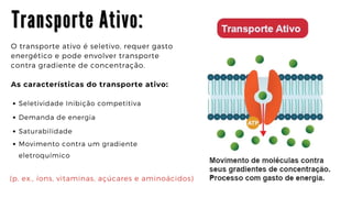 T r a n s p o r t e A t i v o :
T r a n s p o r t e A t i v o :
T r a n s p o r t e A t i v o :
O transporte ativo é seletivo, requer gasto

energético e pode envolver transporte

contra gradiente de concentração.
As características do transporte ativo:
Seletividade Inibição competitiva
Demanda de energia
Saturabilidade
Movimento contra um gradiente

eletroquímico
(p. ex., íons, vitaminas, açúcares e aminoácidos)
 