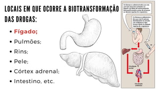 L O C A I S E M Q U E O C O R R E A B I O T R A N S F O R M A Ç Ã O 

D A S D R O G A S :
Fígado;
Pulmões;
Rins;
Pele;
Córtex adrenal;
Intestino, etc.
 