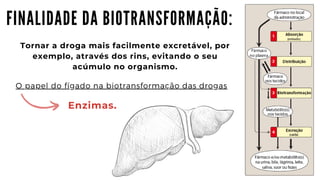 F I N A L I D A D E D A B I O T R A N S F O R M A Ç Ã O :
Tornar a droga mais facilmente excretável, por

exemplo, através dos rins, evitando o seu

acúmulo no organismo.
O papel do fígado na biotransformação das drogas
Enzimas.
 