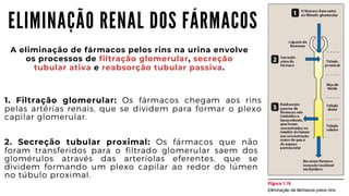 E L I M I N A Ç Ã O R E N A L D O S F Á R M A C O S
A eliminação de fármacos pelos rins na urina envolve

os processos de filtração glomerular, secreção

tubular ativa e reabsorção tubular passiva.
1. Filtração glomerular: Os fármacos chegam aos rins
pelas artérias renais, que se dividem para formar o plexo
capilar glomerular.
2. Secreção tubular proximal: Os fármacos que não
foram transferidos para o filtrado glomerular saem dos
glomérulos através das arteríolas eferentes, que se
dividem formando um plexo capilar ao redor do lúmen
no túbulo proximal.
 