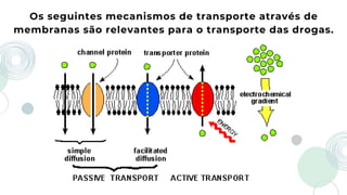 Os seguintes mecanismos de transporte através de

membranas são relevantes para o transporte das drogas.
 
