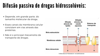 Depende, em grande parte, do

tamanho molecular da droga.
Esses canais da membrana celular

consistem em vias através das

proteínas.
Não é o principal mecanismo de

transporte de drogas.
D i f u s ã o p a s s i v a d e d r o g a s h i d r o s s o l ú v e i s :
D i f u s ã o p a s s i v a d e d r o g a s h i d r o s s o l ú v e i s :
D i f u s ã o p a s s i v a d e d r o g a s h i d r o s s o l ú v e i s :
 