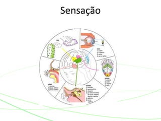 Sensação 
 