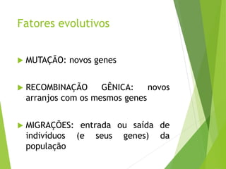 Fatores evolutivos
 MUTAÇÃO: novos genes
 RECOMBINAÇÃO GÊNICA: novos
arranjos com os mesmos genes
 MIGRAÇÕES: entrada ou saída de
indivíduos (e seus genes) da
população
 