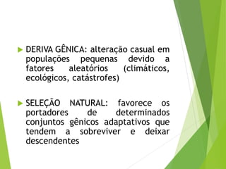  DERIVA GÊNICA: alteração casual em
populações pequenas devido a
fatores aleatórios (climáticos,
ecológicos, catástrofes)
 SELEÇÃO NATURAL: favorece os
portadores de determinados
conjuntos gênicos adaptativos que
tendem a sobreviver e deixar
descendentes
 
